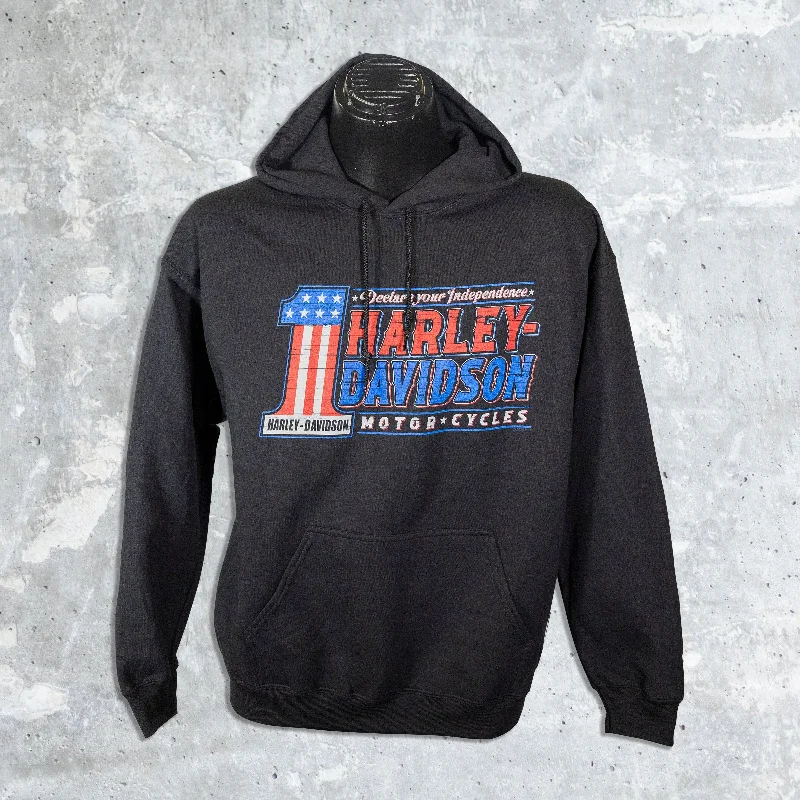 Wildfire Harley Davidson- Oath Pullover Hoodie Hoodie with Pocket Utility Practical